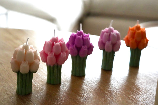 Tulipanes